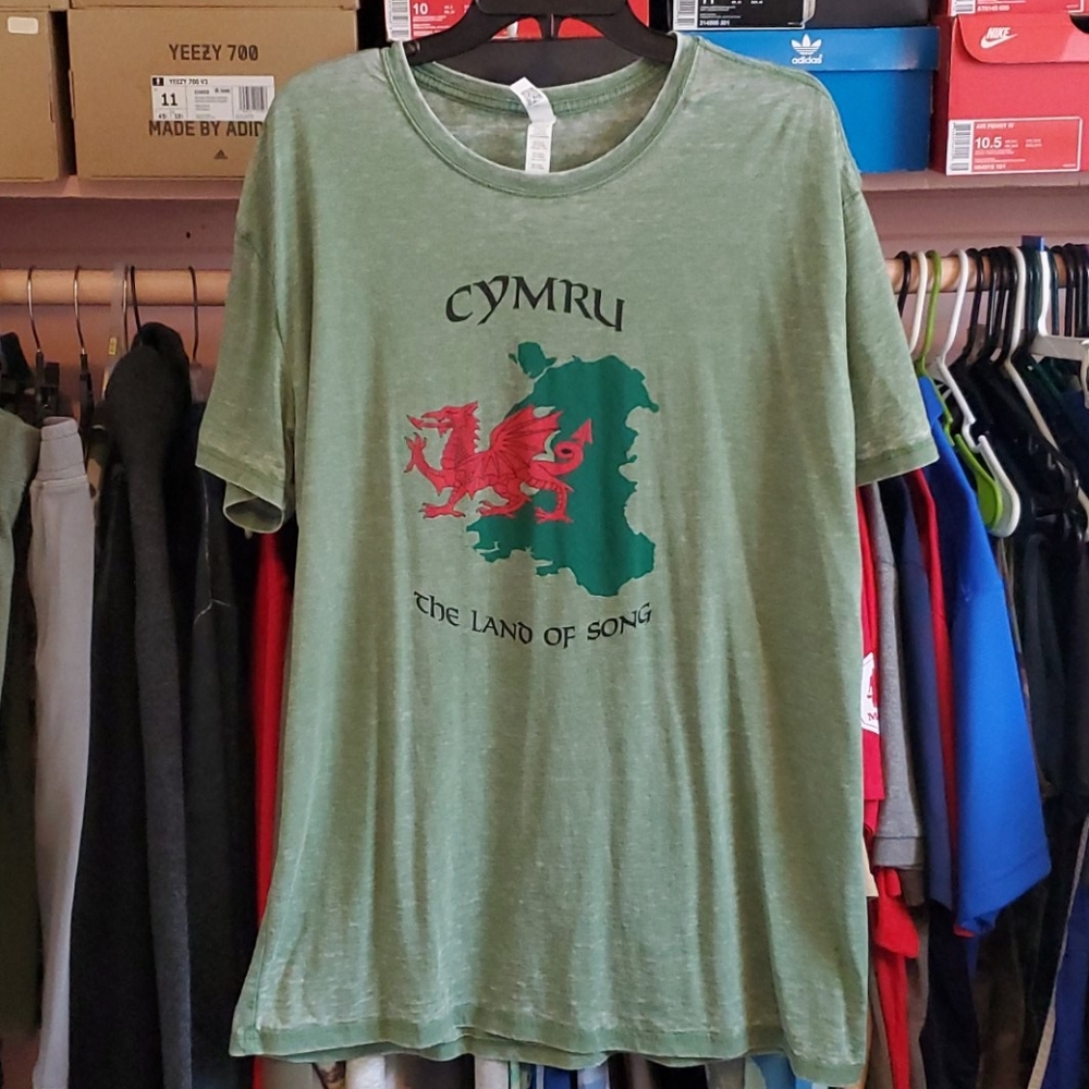 Men's extra large graphic t-shirt with dragon